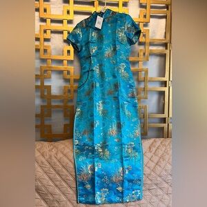 NWT: Elegant Long Chinese Dress